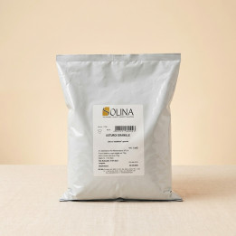 Usturoi Granule Solina 1 kg | Condimente